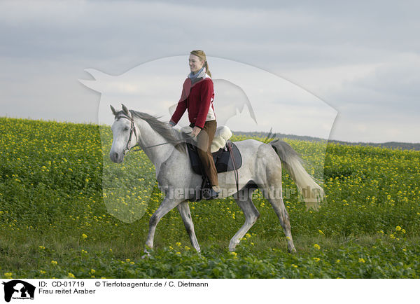 Frau reitet Araber / woman rides arabian horse / CD-01719