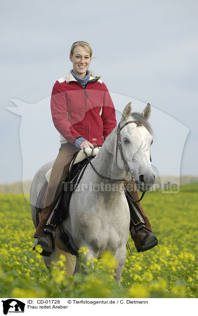 Frau reitet Araber / woman rides arabian horse / CD-01728