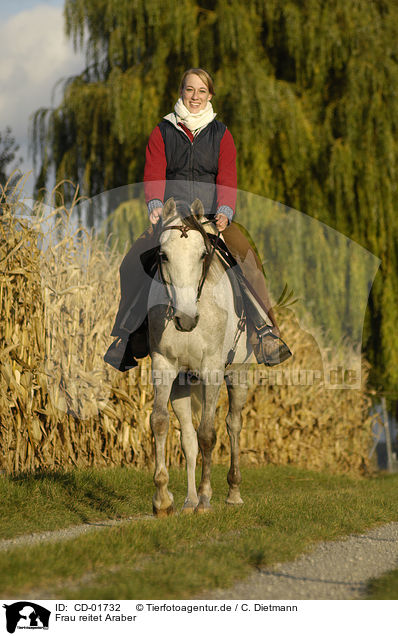 Frau reitet Araber / woman rides arabian horse / CD-01732