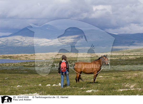 Frau und Araber / woman and arabian horse / EH-01626