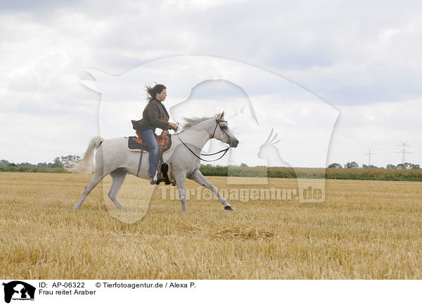 Frau reitet Araber / woman rides arabian horse / AP-06322
