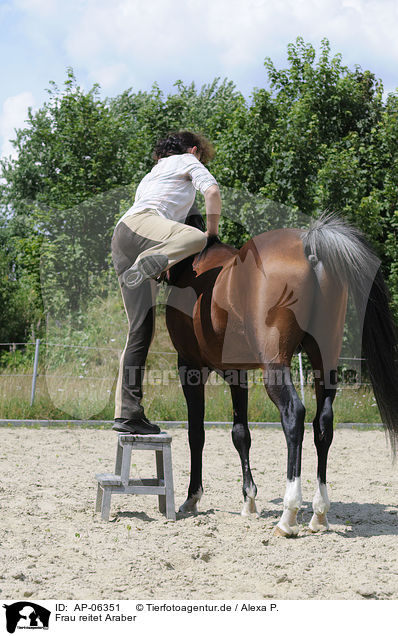 Frau reitet Araber / AP-06351