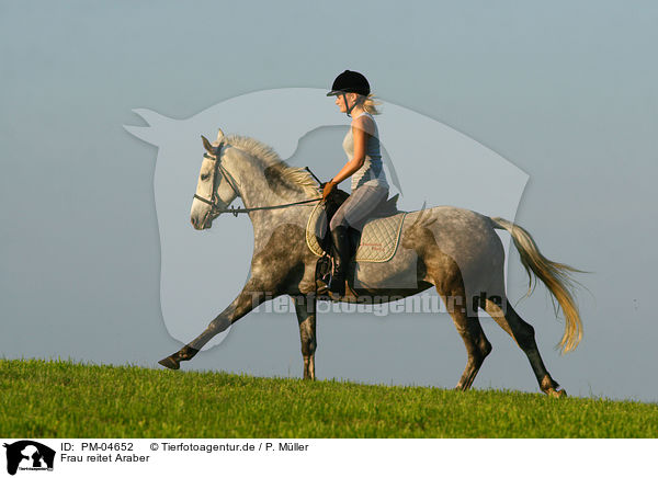 Frau reitet Araber / woman rides arabian horse / PM-04652