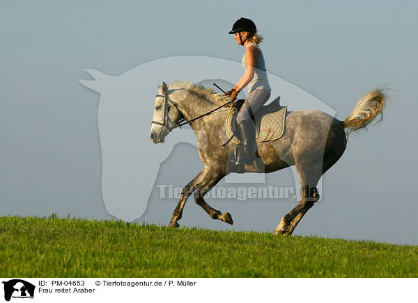 Frau reitet Araber / woman rides arabian horse / PM-04653