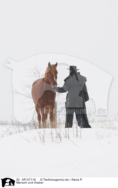Mensch und Araber / human and arabian horse / AP-07116
