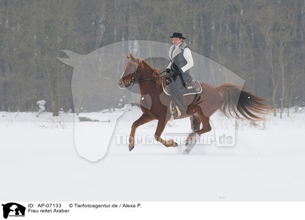 Frau reitet Araber / woman rides arabian horse / AP-07133