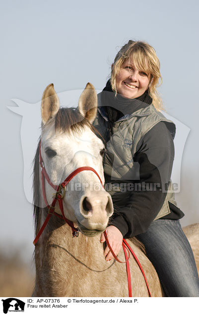 Frau reitet Araber / AP-07376