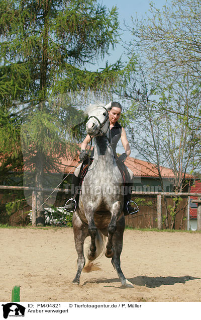 Araber verweigert / PM-04821