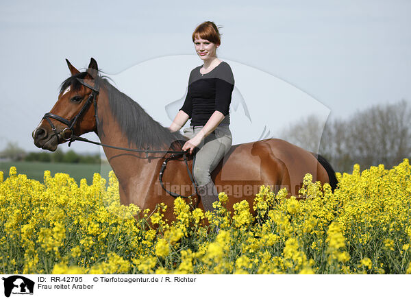 Frau reitet Araber / woman rides arabian horse / RR-42795