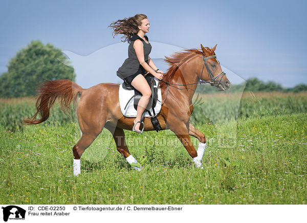 Frau reitet Araber / CDE-02250
