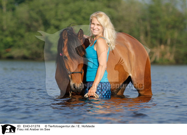 Frau mit Araber im See / woman with arabian horse in the lake / EHO-01278