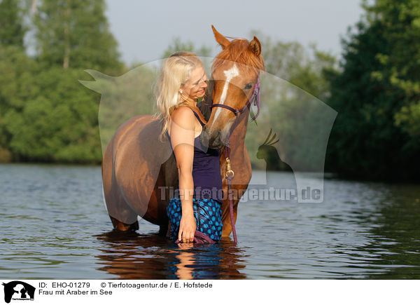 Frau mit Araber im See / woman with arabian horse in the lake / EHO-01279