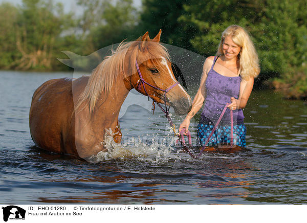 Frau mit Araber im See / woman with arabian horse in the lake / EHO-01280