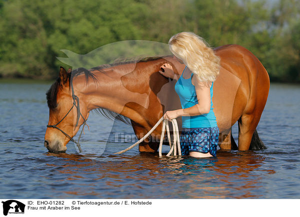 Frau mit Araber im See / woman with arabian horse in the lake / EHO-01282