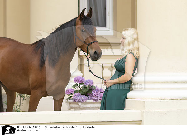 Araber mit Frau / Arabian Horse with woman / EHO-01407
