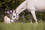 Frau und Araber