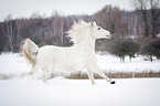 Araber im Schnee