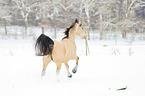 Araber im Schnee