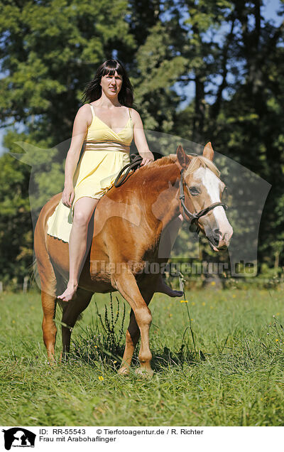 Frau mit Arabohaflinger / woman with horse / RR-55543