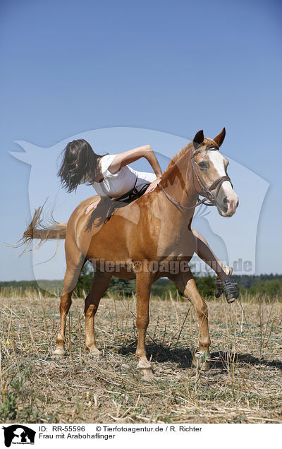 Frau mit Arabohaflinger / woman with horse / RR-55596