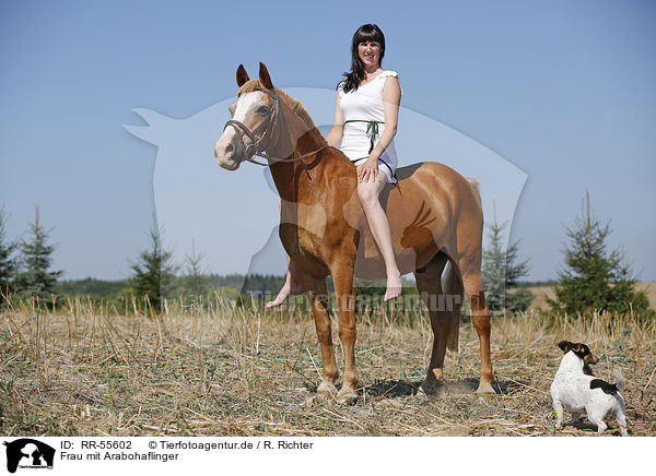 Frau mit Arabohaflinger / RR-55602