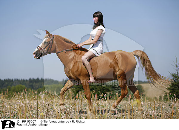 Frau mit Arabohaflinger / woman with horse / RR-55607