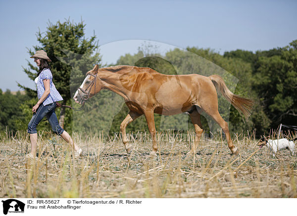 Frau mit Arabohaflinger / RR-55627