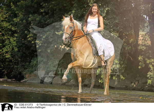 Frau reitet Arabo-Haflinger / woman rides crossbred / CDE-01373