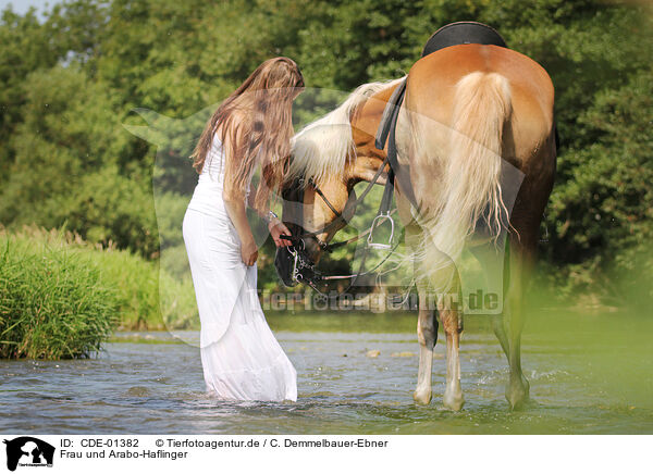 Frau und Arabo-Haflinger / woman and crossbred / CDE-01382