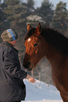 junge Frau mit Arabo-Haflinger