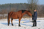 junge Frau mit Arabo-Haflinger