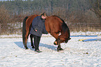 junge Frau mit Arabo-Haflinger