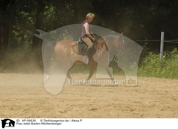 Frau reitet Baden-Wrttemberger / woman rides horse / AP-06638