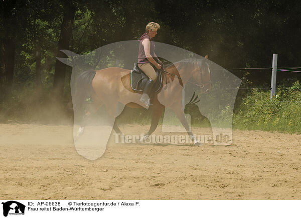 Frau reitet Baden-Wrttemberger / AP-06638