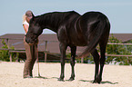 Frau mit Belgischem Warmblut