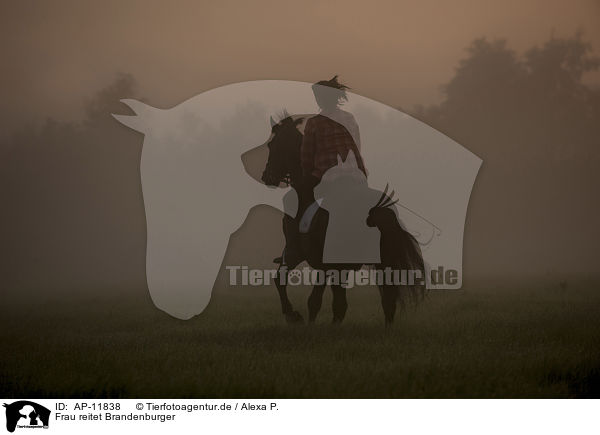 Frau reitet Brandenburger / woman rides warmblood / AP-11838