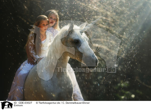 Einhorn / unicorn / CDE-03027