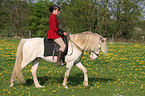 Frau reitet Connemara-Pony