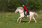 Frau reitet Connemara-Pony