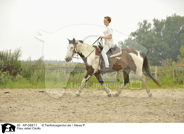 Frau reitet Criollo / woman rides Criollo / AP-08811