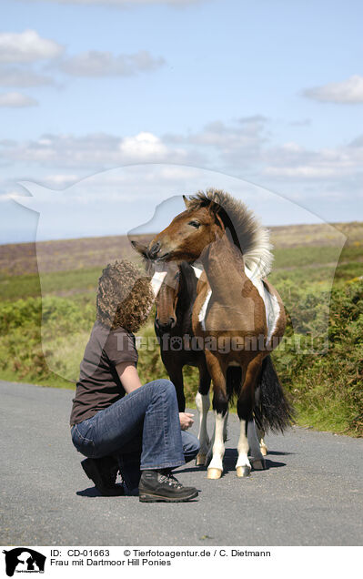 Frau mit Dartmoor Hill Ponies / woman with Dartmoor Hill Ponies / CD-01663