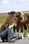 Frau mit Dartmoor Hill Ponies
