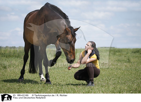 Frau und Deutsches Reitpferd / woman and warmblood / RR-43189