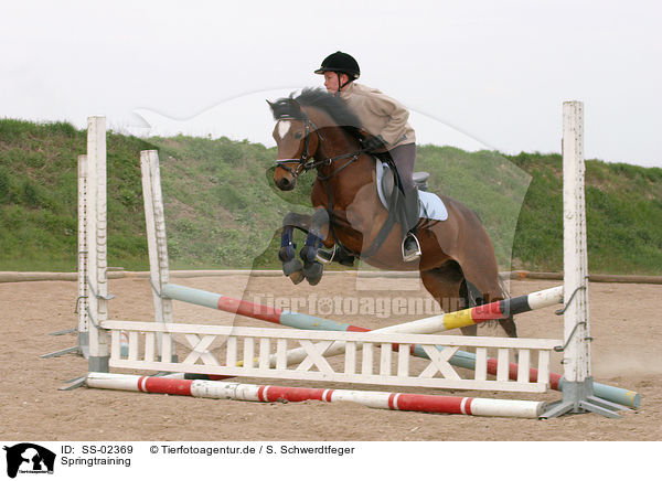 Springtraining / showjumping training / SS-02369