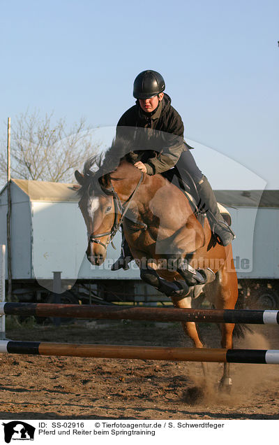 Pferd und Reiter beim Springtraining / showjumping training / SS-02916