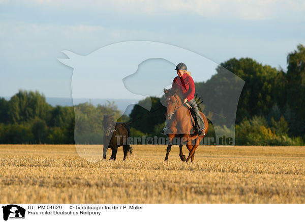 Frau reitet Deutsches Reitpony / woman rides Pony / PM-04629