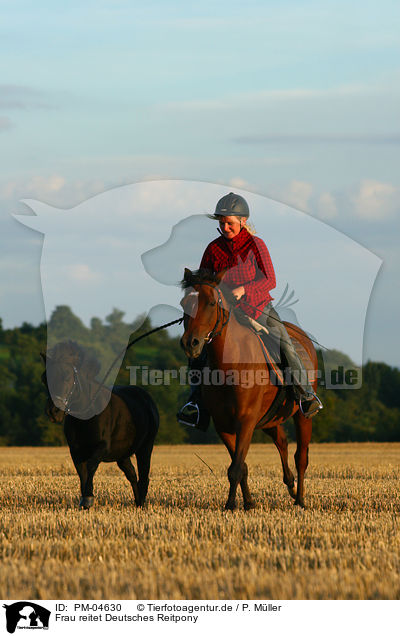 Frau reitet Deutsches Reitpony / woman rides Pony / PM-04630
