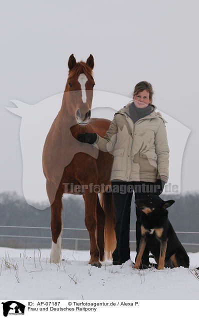 Frau und Deutsches Reitpony / woman and pony / AP-07187