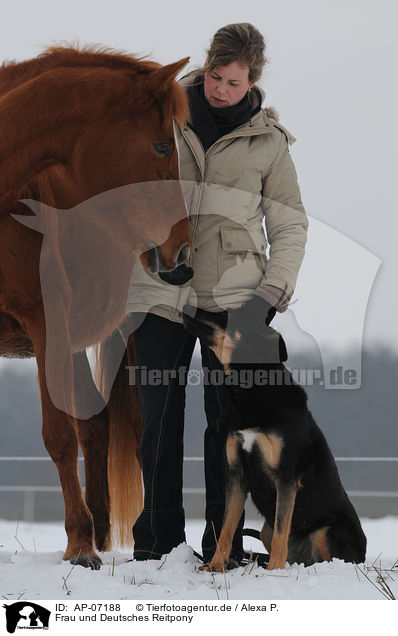 Frau und Deutsches Reitpony / AP-07188