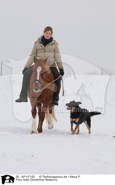 Frau reitet Deutsches Reitpony / woman rides pony / AP-07192
